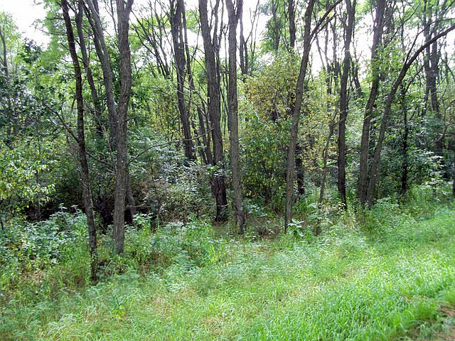 2nd image of Acorn Court - Lot 2