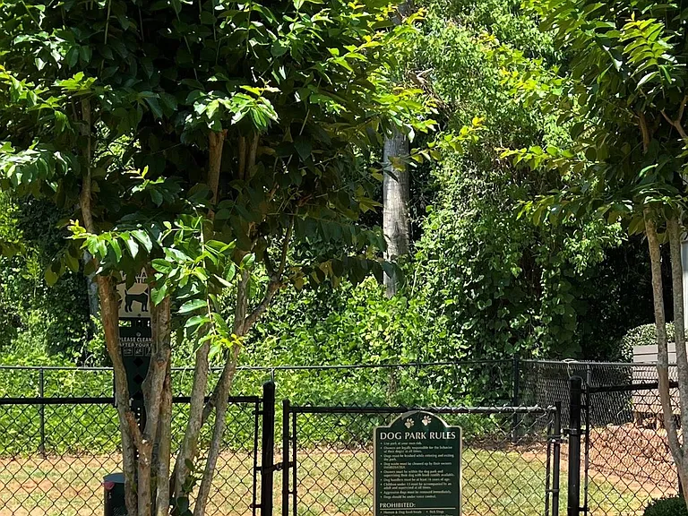 Dog Park