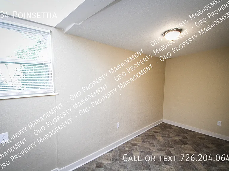 934 Poinsettia — Photo 3