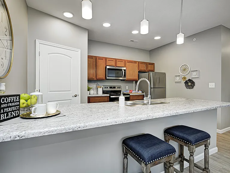 Preserve on Blue Road Apartments — Photo 61
