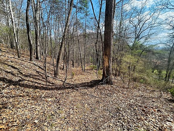 2nd image of LOT 118 Julia Simpkins Rd