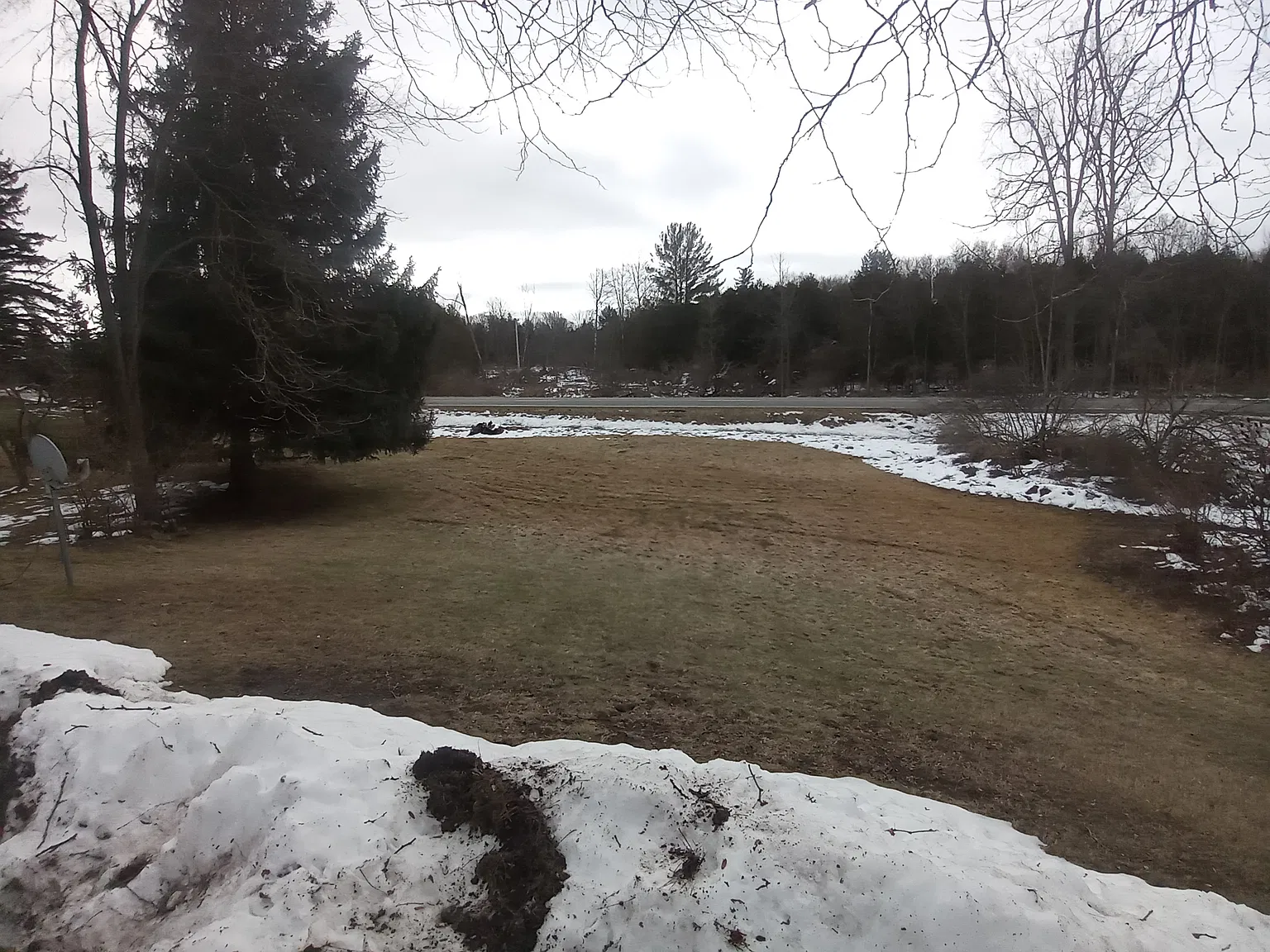 61 Cedar - 1 — Photo 4