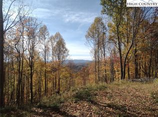 TBD N US Hwy 421, Zionville, NC 28698