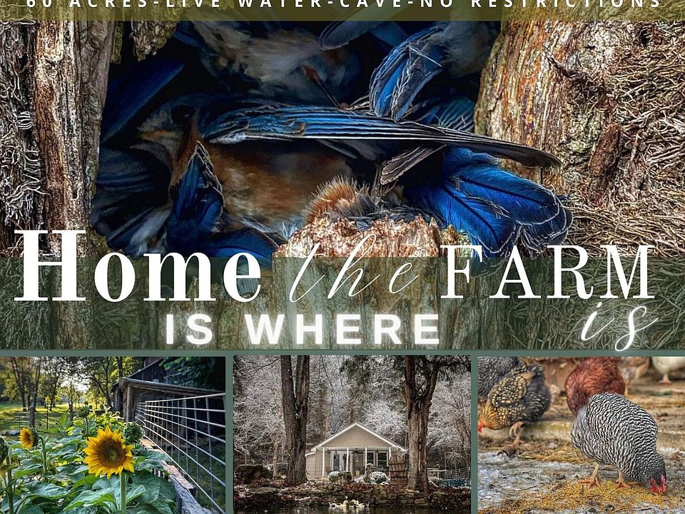 1893 Holt Woods Road, Reeds Spring, MO 65737 MLS 60249568 Zillow