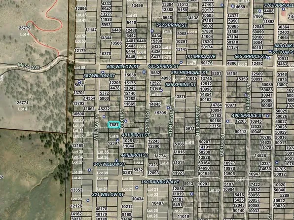 00003 Birch Street, Hartsel, CO 80449