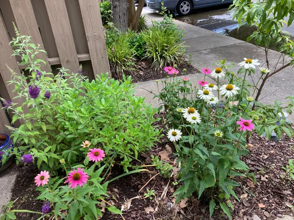 220 Elizabeth St, Hillsborough, NC