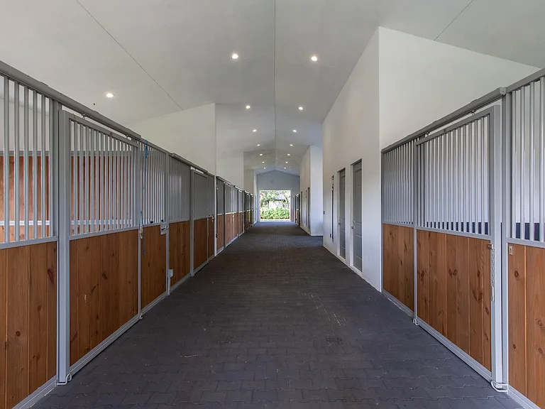 2889 Appaloosa Trl — Photo 32