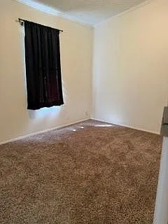 215 Parrish St — Photo 6