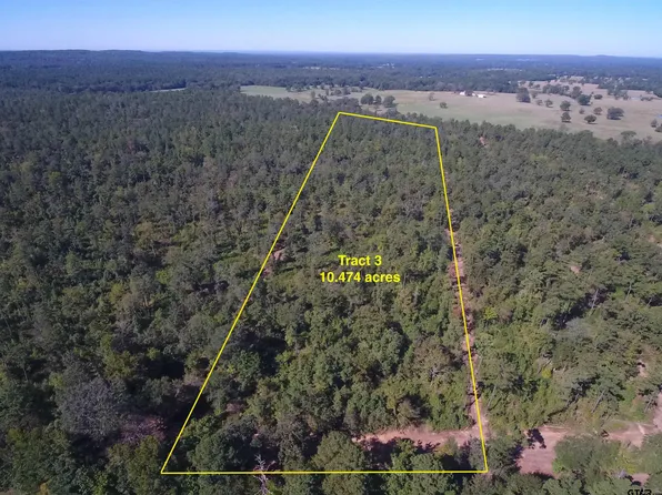 10.4 Ac Cres #3163, Laneville, TX 75667