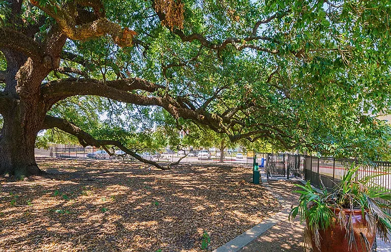 Northgate Oaks Apartments — Photo 61