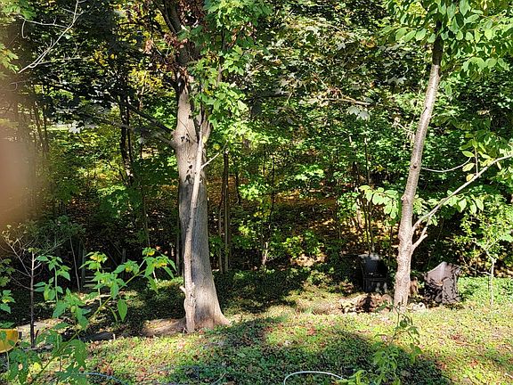 4th image of 303 Oakwood Dr