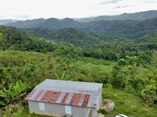 Bo Indiera Fria Carr 366 Kmhm 2.4 Fincas #B-c-a, Maricao, PR 00606