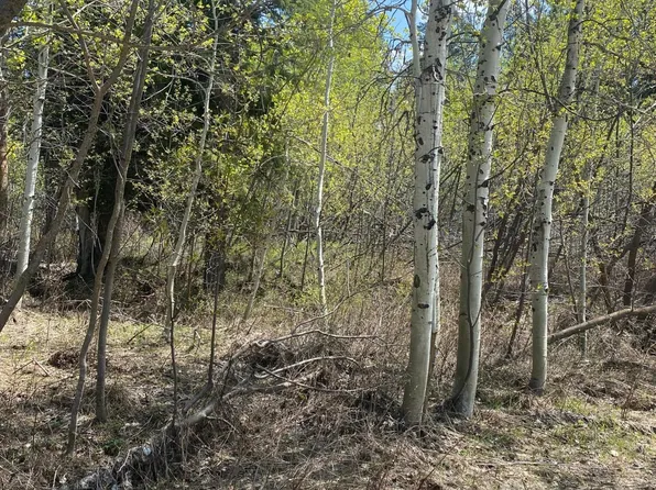 37 N Forest Dr, Thayne, WY 83127