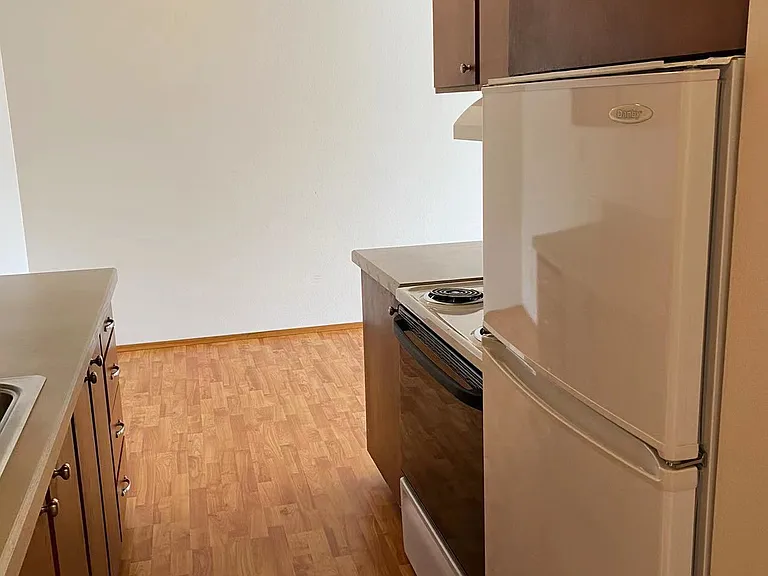 Tyee 412 Kitchen