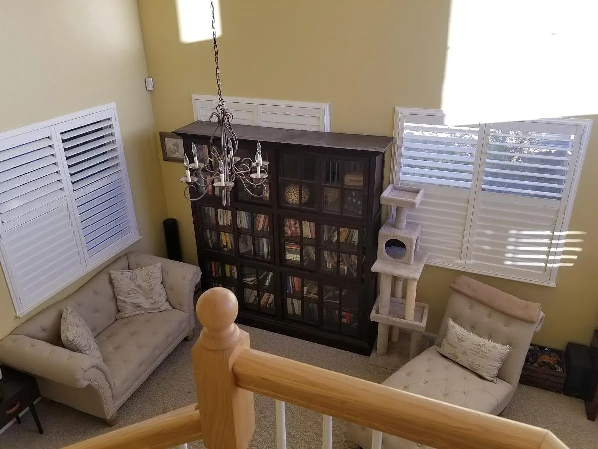 10048 Silver Star Drive — Photo 2