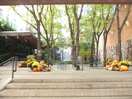 Rented by Sky Management | media 35