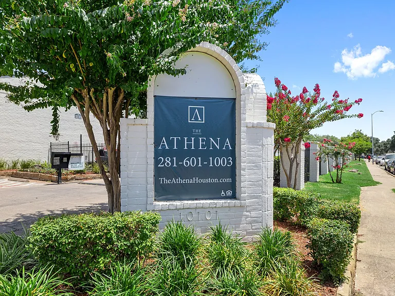 The Athena — Photo 30