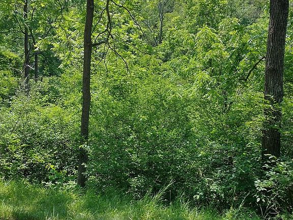 5th image of Smith Rd