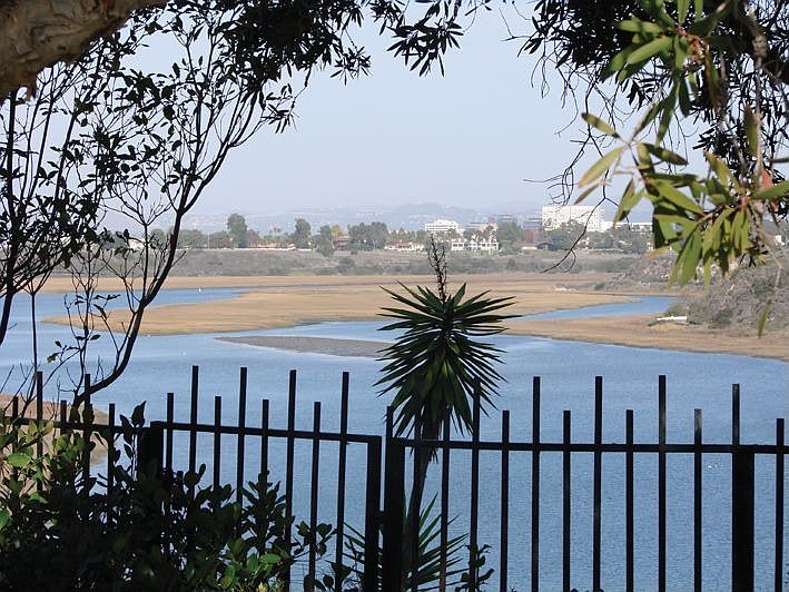 Front Row Back Bay View