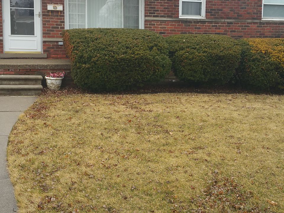 1st image of 25515 Barbara St