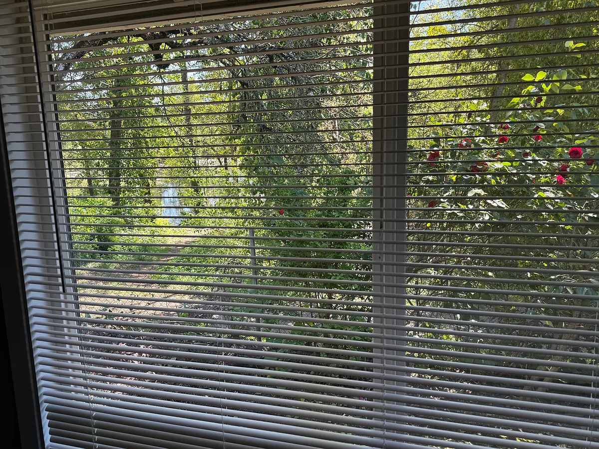 Building Photo - 2498 Sorrel Way #2496
