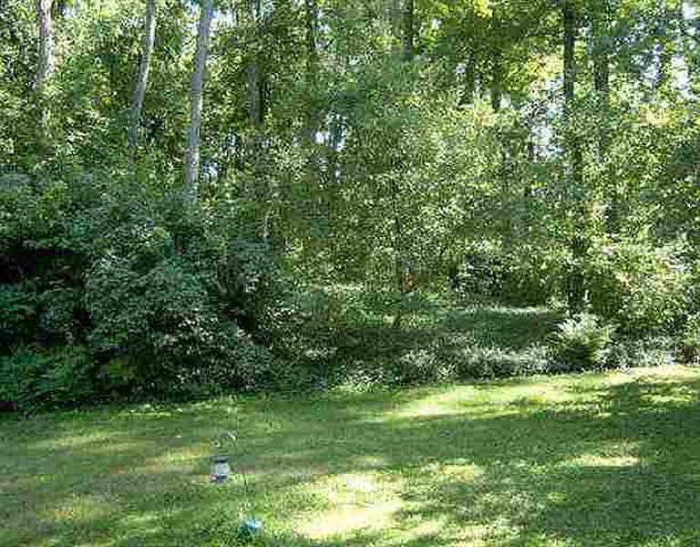 3rd image of 3552 LYDIUS Street