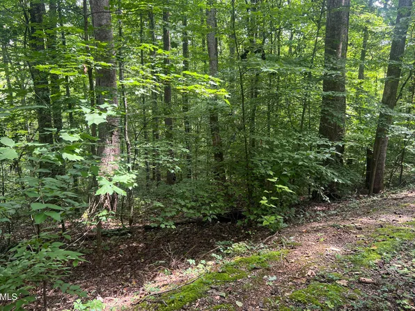 Skyline Dr, Clinton, TN 37716