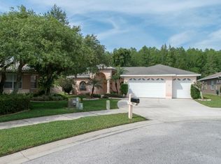 905 Wyngate Ct, Safety Harbor, FL 34695