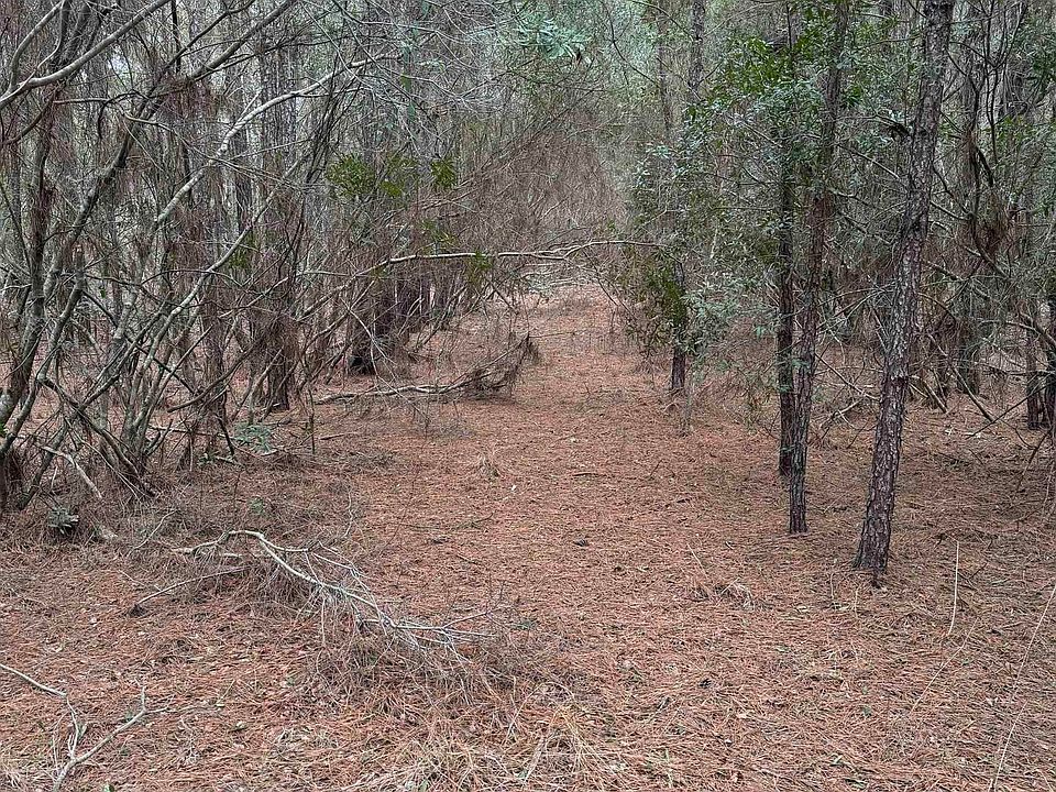 2nd image of 12 Sessom Rd Lot 12