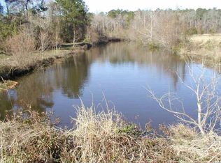 1080 Henry Rd, Hemingway, SC 29554