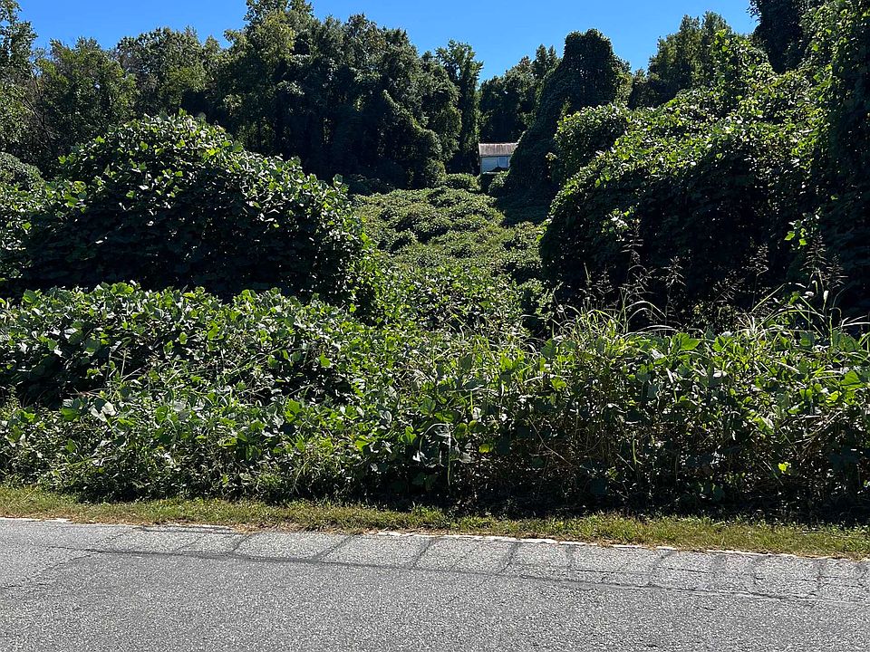 2nd image of 150 Emma Cudd Rd