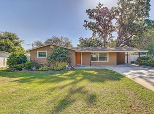 719 S Saint Cloud Ave, Valrico, FL 33594