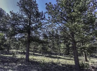 232 Fowler Rd, Westcliffe, CO 81252