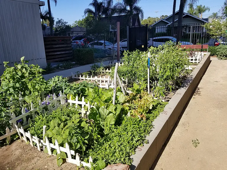 Flower Terrace — Photo 14
