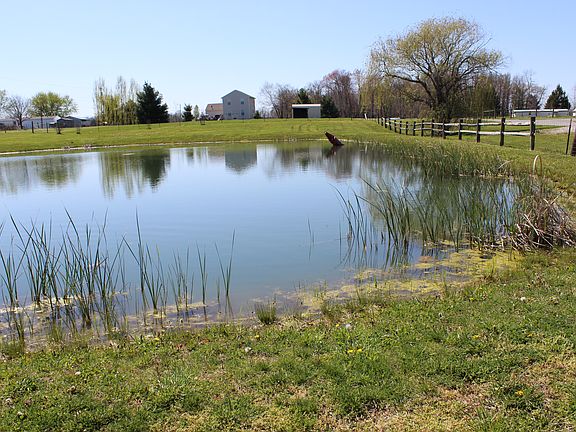 Pond in front of home