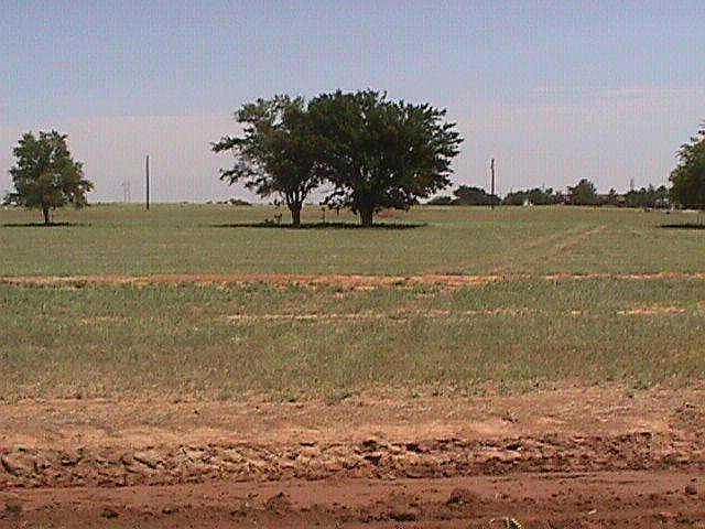 1st image of 1948 County Road 1211 Lot 12
