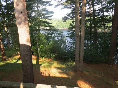 6 Rowell Rd #1 — Photo 3