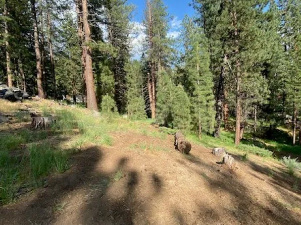 1066 Buckskin Ln, Portola, CA 96122