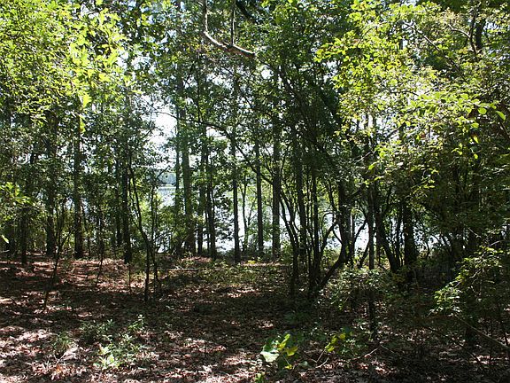 5th image of 1 Edisto Lake Road
