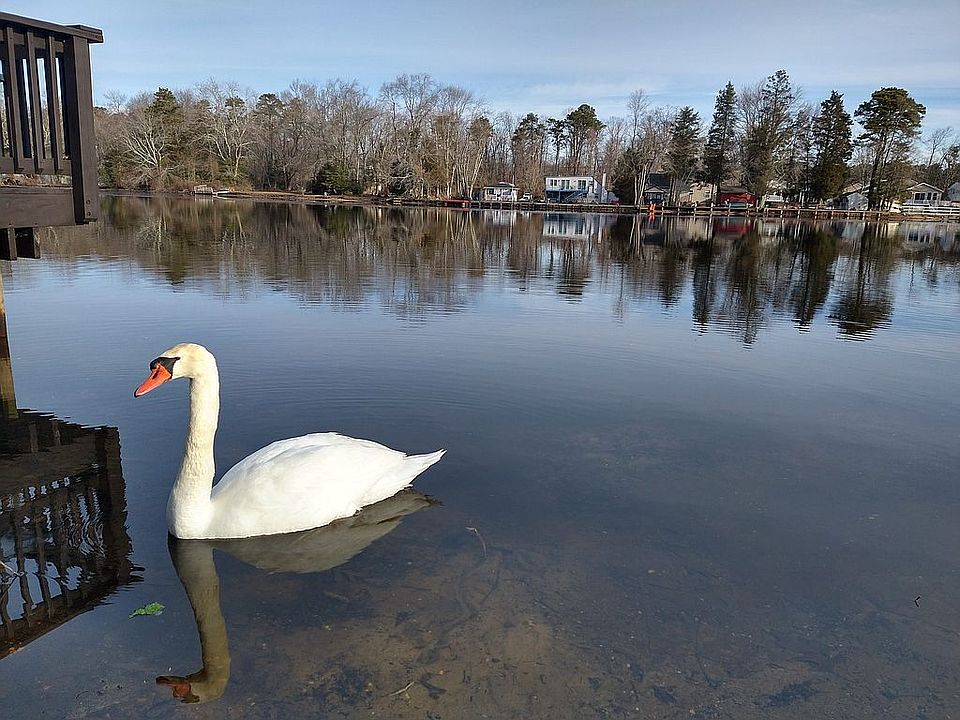 2nd image of 3608 Lakeside Dr