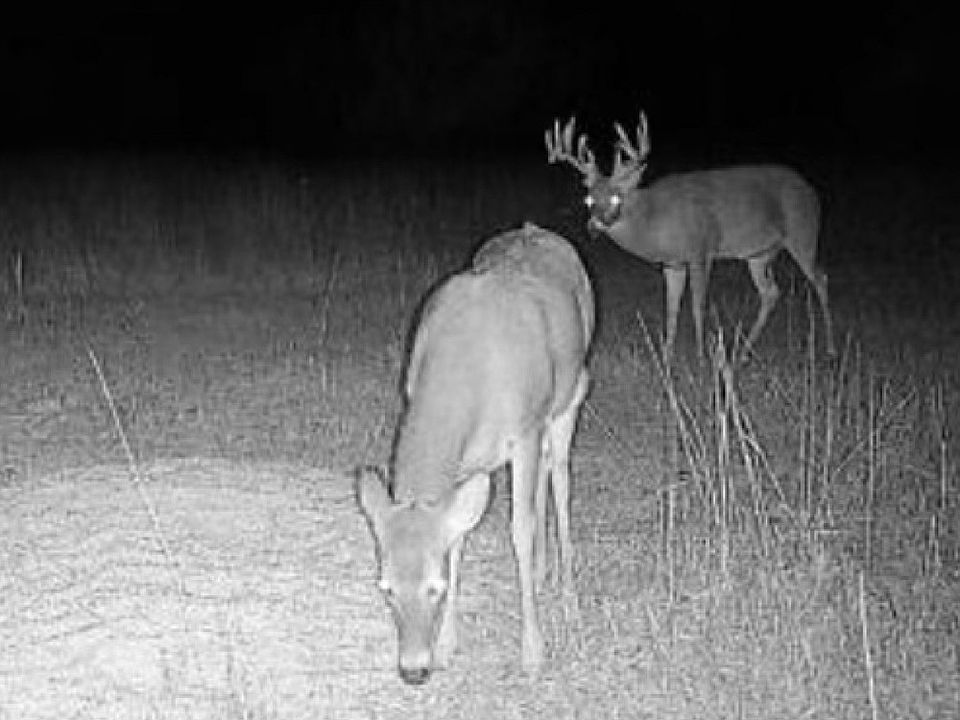 1st image of 5 Road Lot Wp001