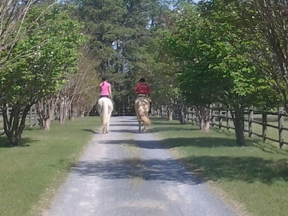 Optional Affordable horse boarding....