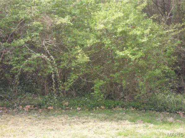 100 S 98th St, Belleville, IL 62223