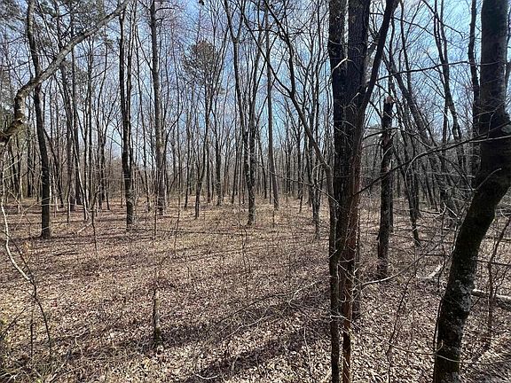 4th image of 0 Union Chapel Rd