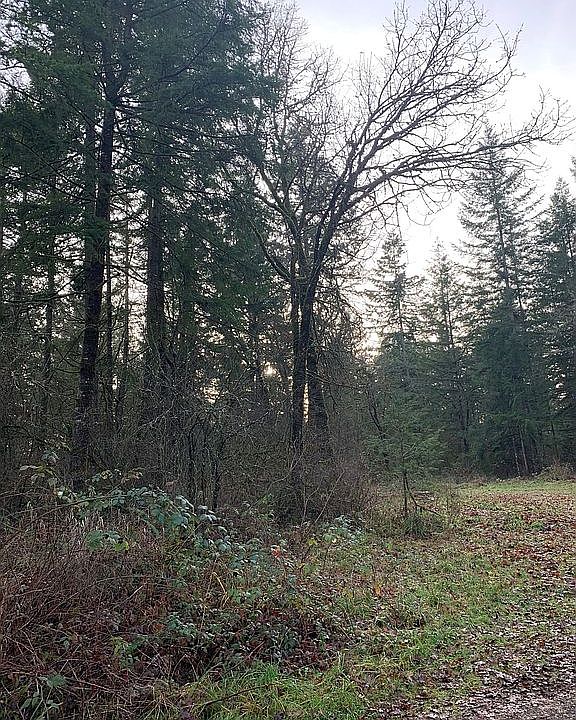 2nd image of 16945 Sargent Rd SW