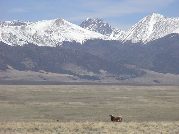 3rd image of 670 Pass Peak Dr