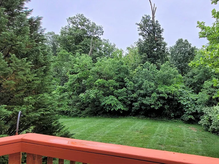 5344 Blue Aster Cir — Photo 40