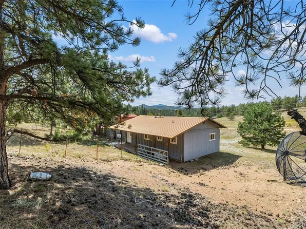 272 Spring Valley Trail, Florissant, CO 80816
