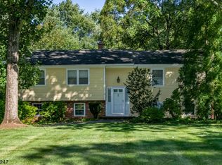 33 Courter St, Basking Ridge, NJ 07920