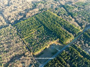 V/l North Ave #52, Mears, MI 49436